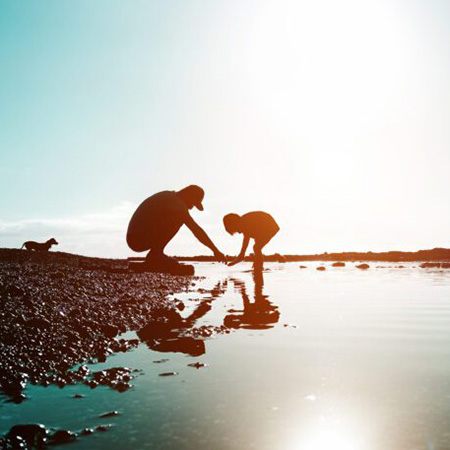 Environment Protection Environment Protection