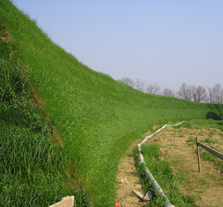 Pro-grass on a steep slope